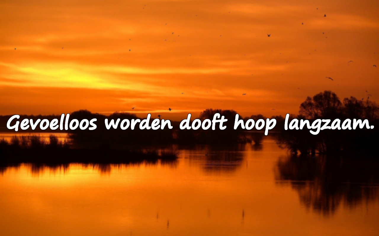 Betekenisvolle mooie citaten over gevoelloosheid