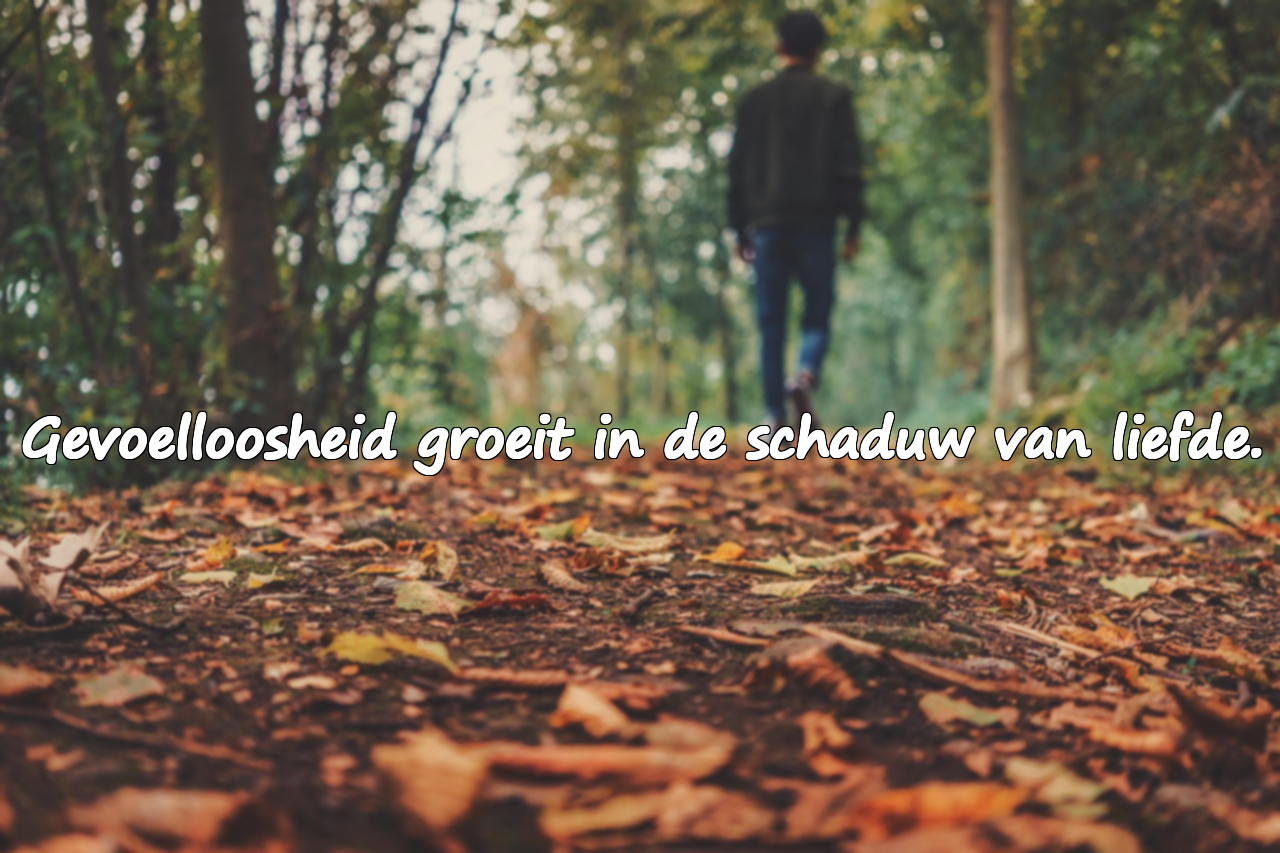 Betekenisvolle mooie citaten over gevoelloosheid