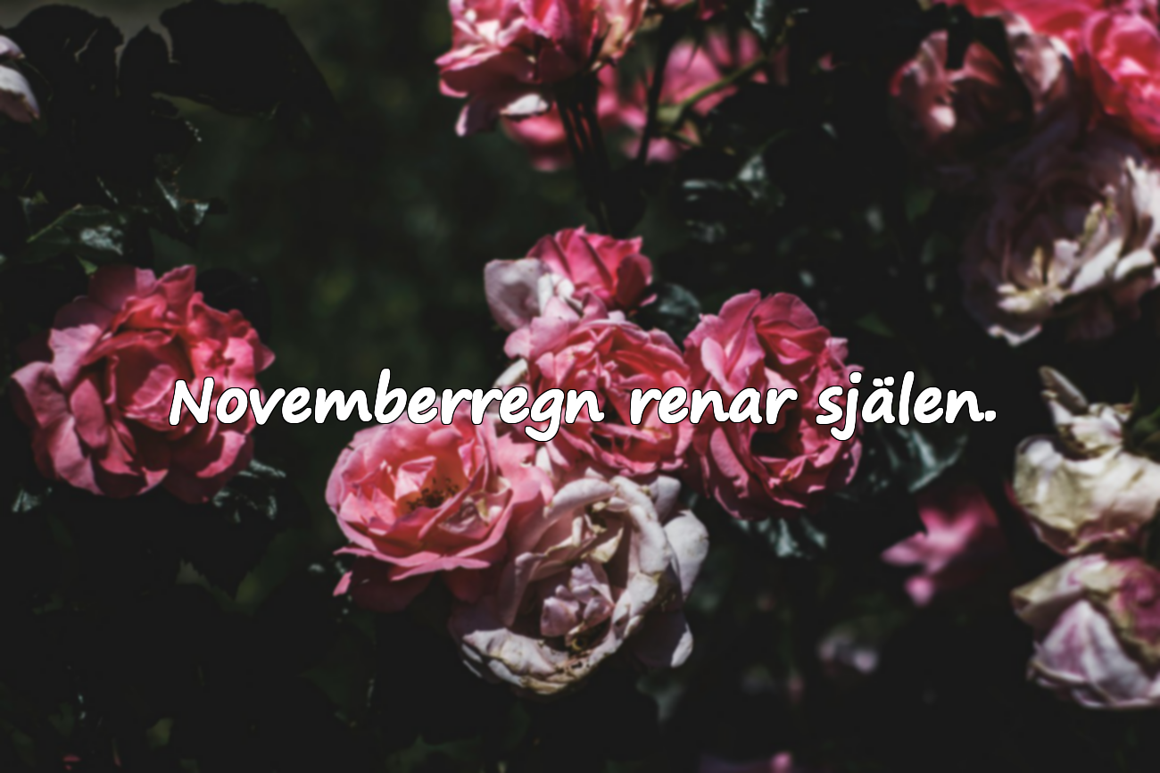 Betydelsefulla Citat om November