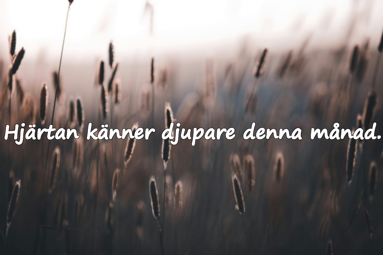 Betydelsefulla Citat om November