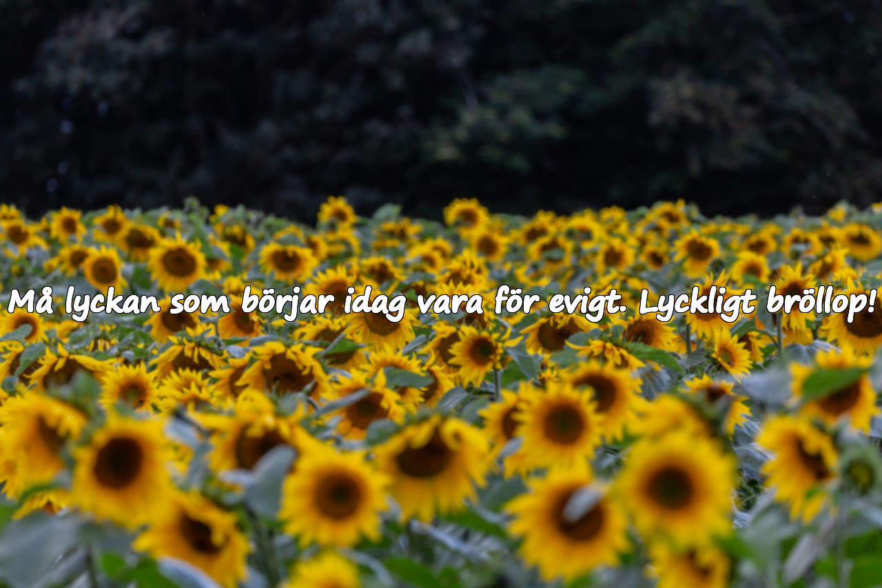Må lyckan som börjar idag vara för evigt. Lyckligt bröllop!