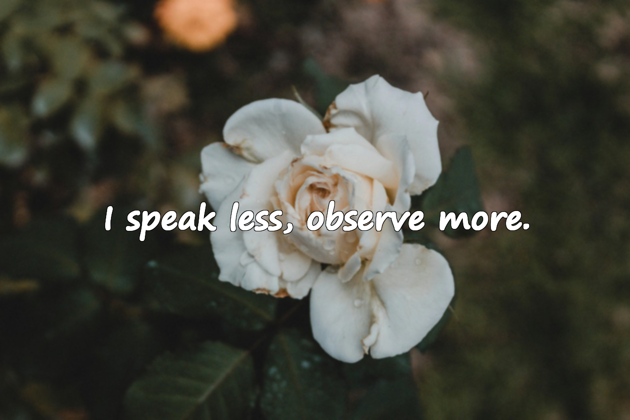 Burning Words