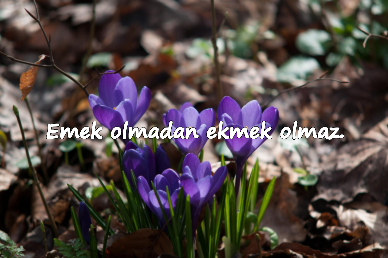 Emek olmadan ekmek olmaz.