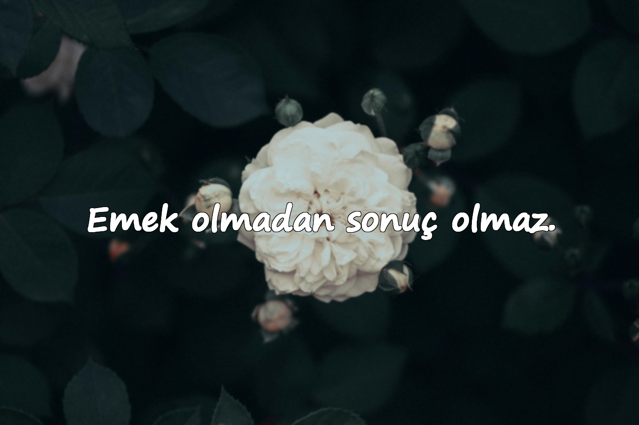 Emek olmadan sonuç olmaz.