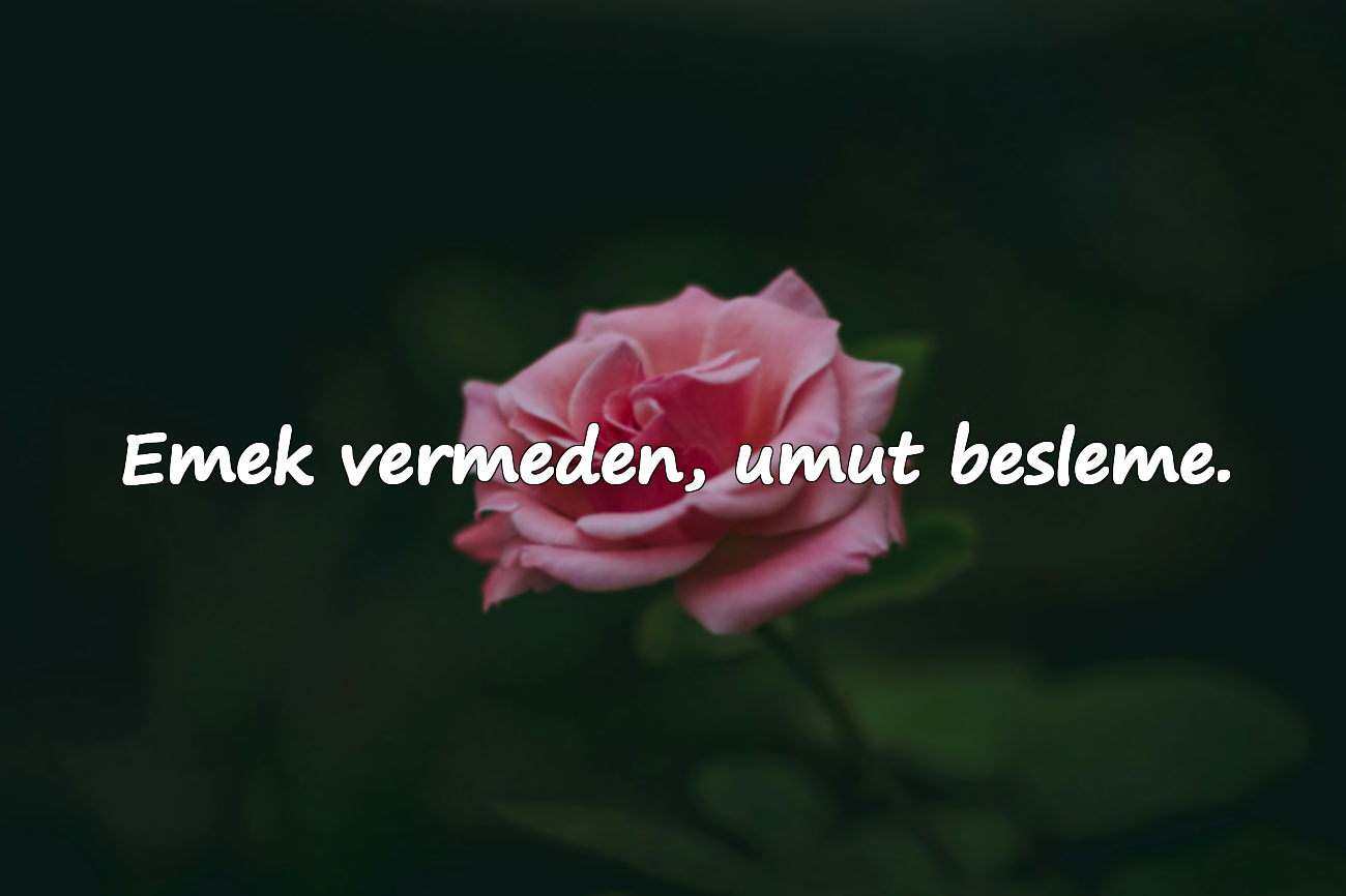 Emek vermeden, umut besleme.