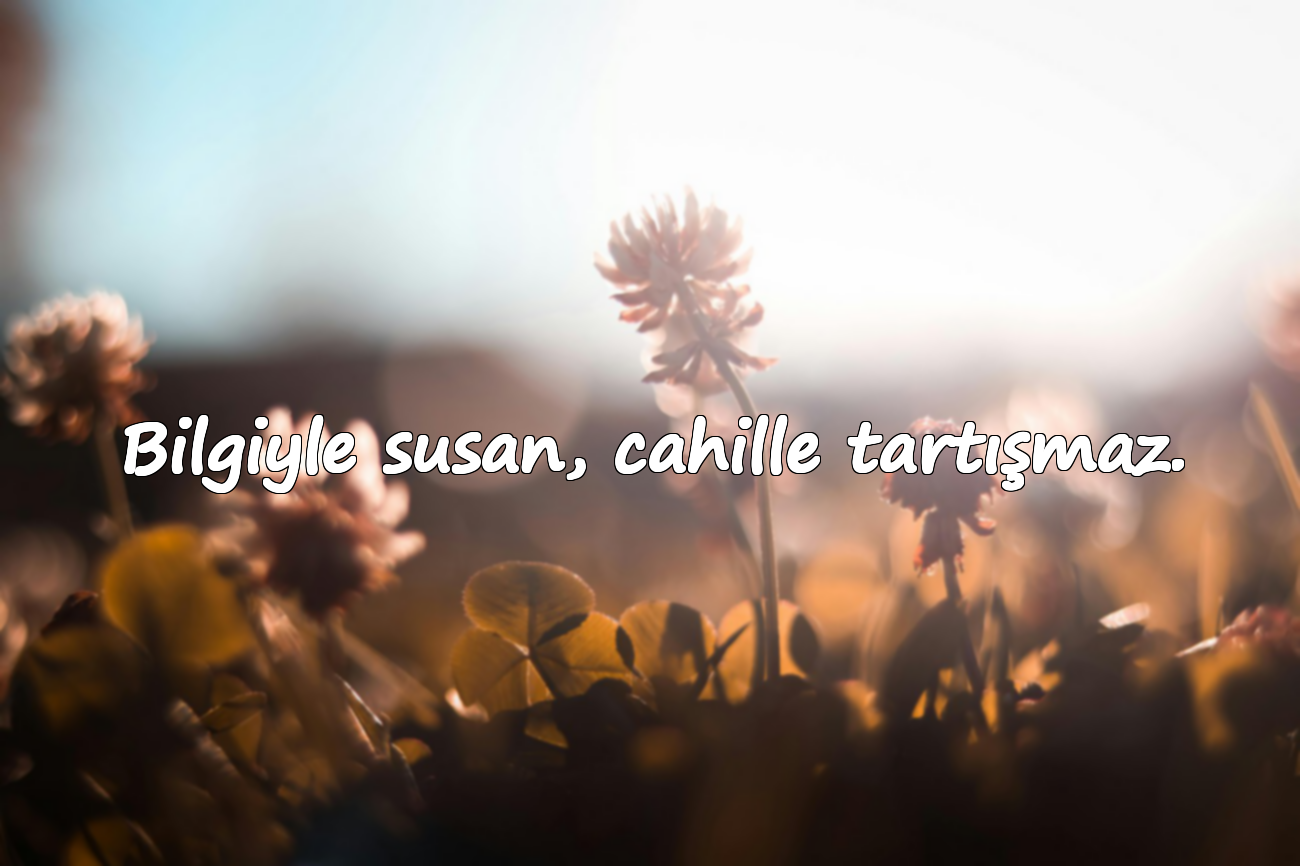 Bilgiyle susan, cahille tartışmaz.