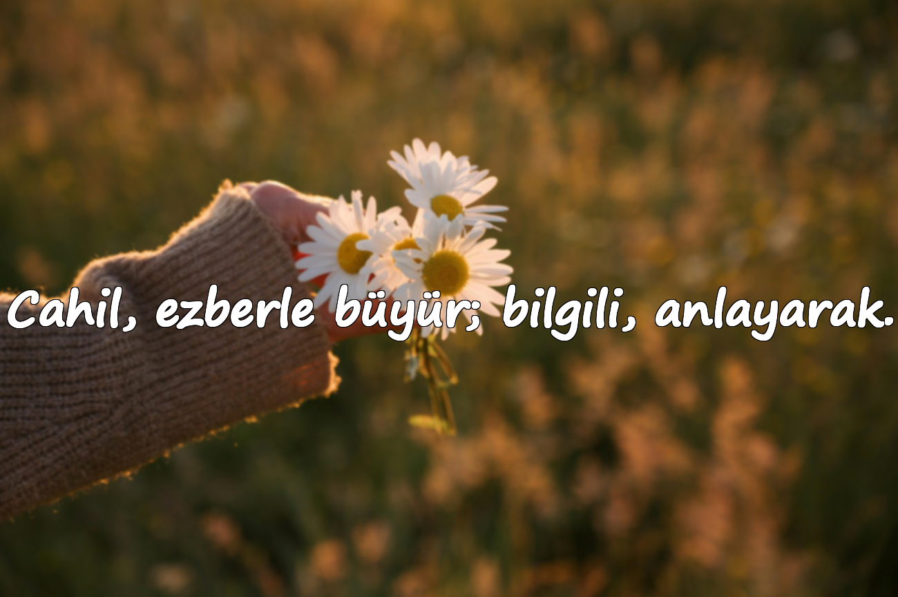 Cahil, ezberle büyür; bilgili, anlayarak.