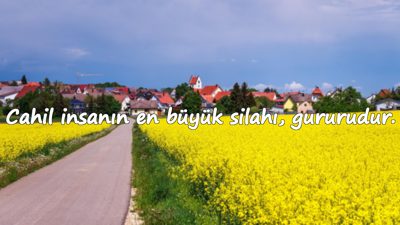 Cahil insanın en büyük silahı, gururudur.