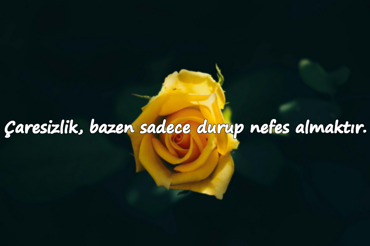 Çaresizlik, bazen sadece durup nefes almaktır.