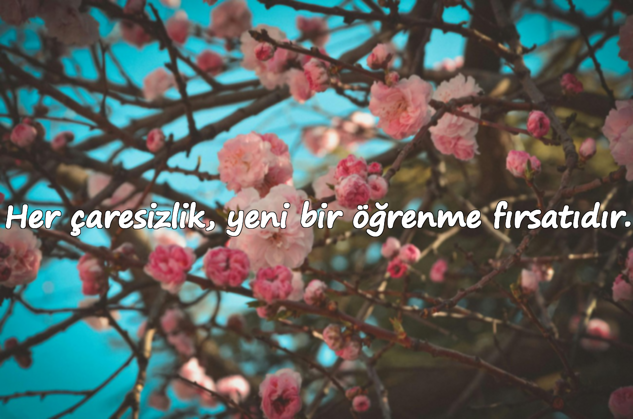 Her çaresizlik, yeni bir öğrenme fırsatıdır.