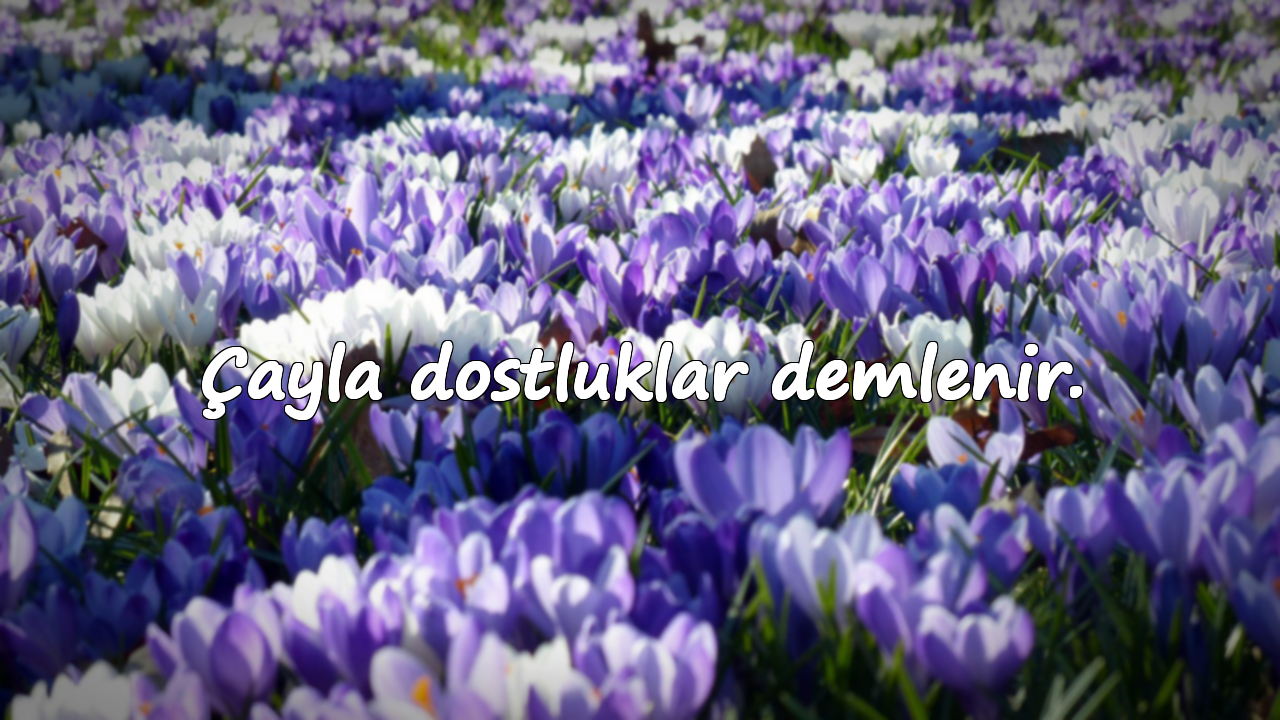 Çayla dostluklar demlenir.