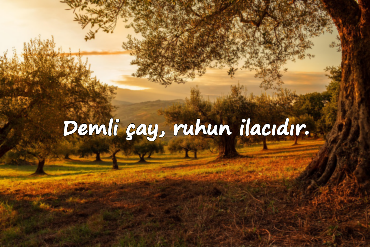 Demli çay, ruhun ilacıdır.