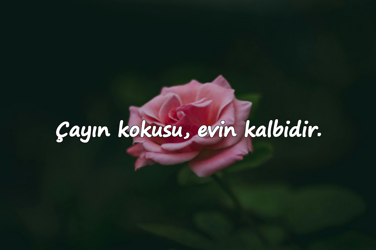 Çayın kokusu, evin kalbidir.