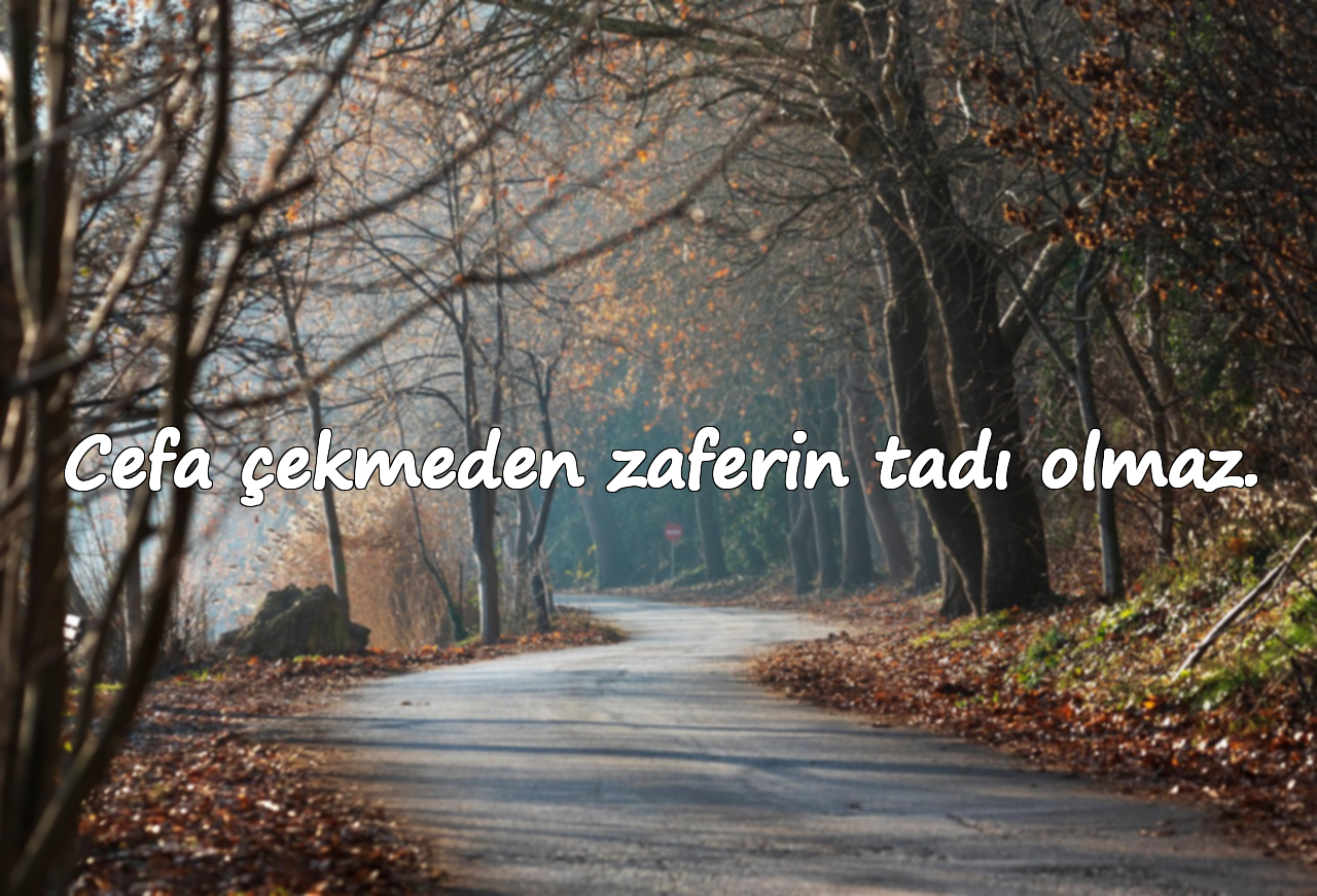 Cefa çekmeden zaferin tadı olmaz.
