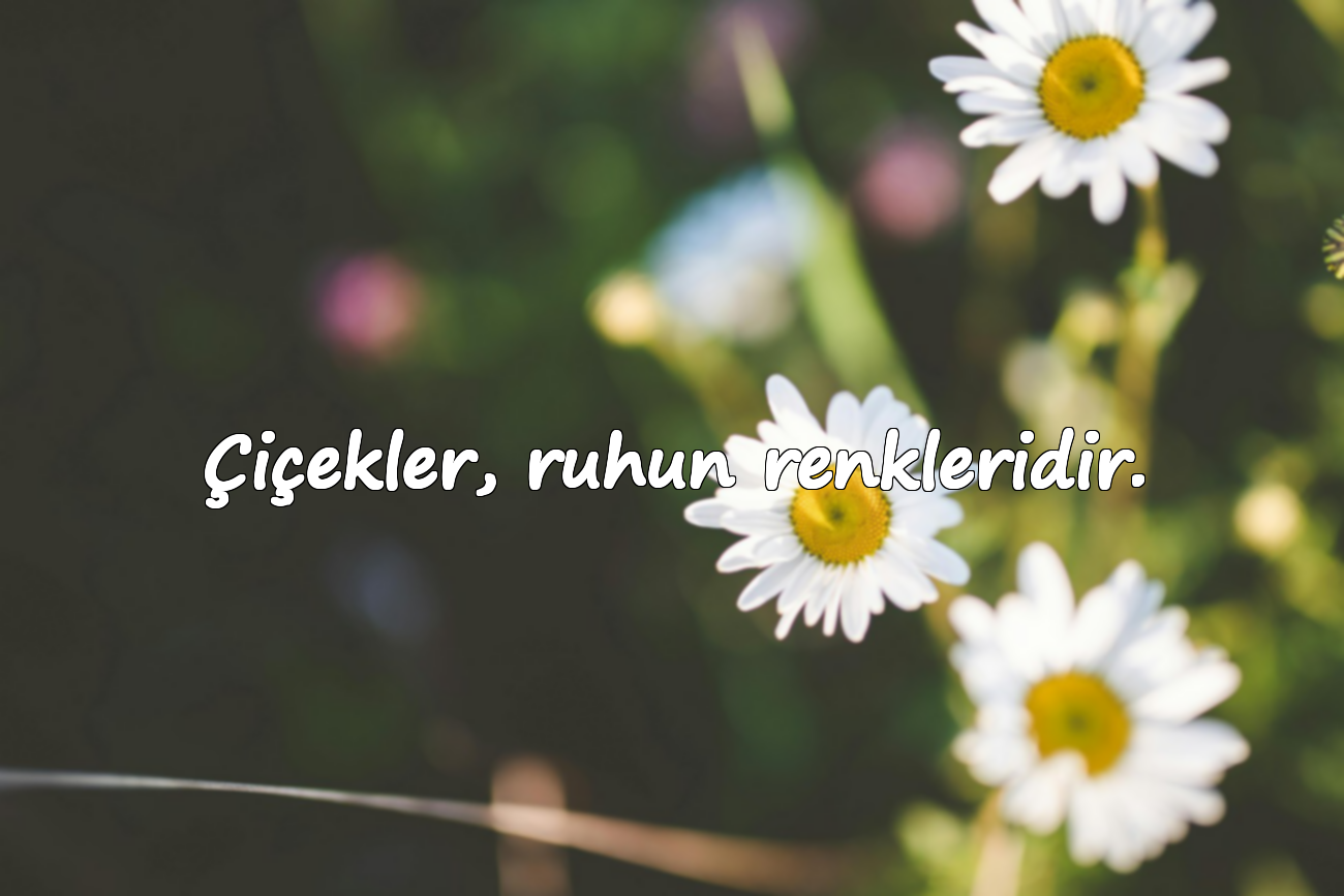 Çiçekler, ruhun renkleridir.
