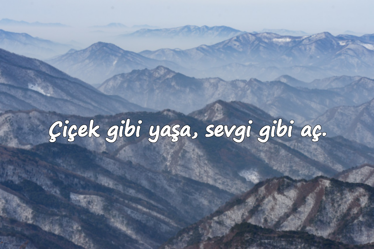 Çiçek gibi yaşa, sevgi gibi aç.