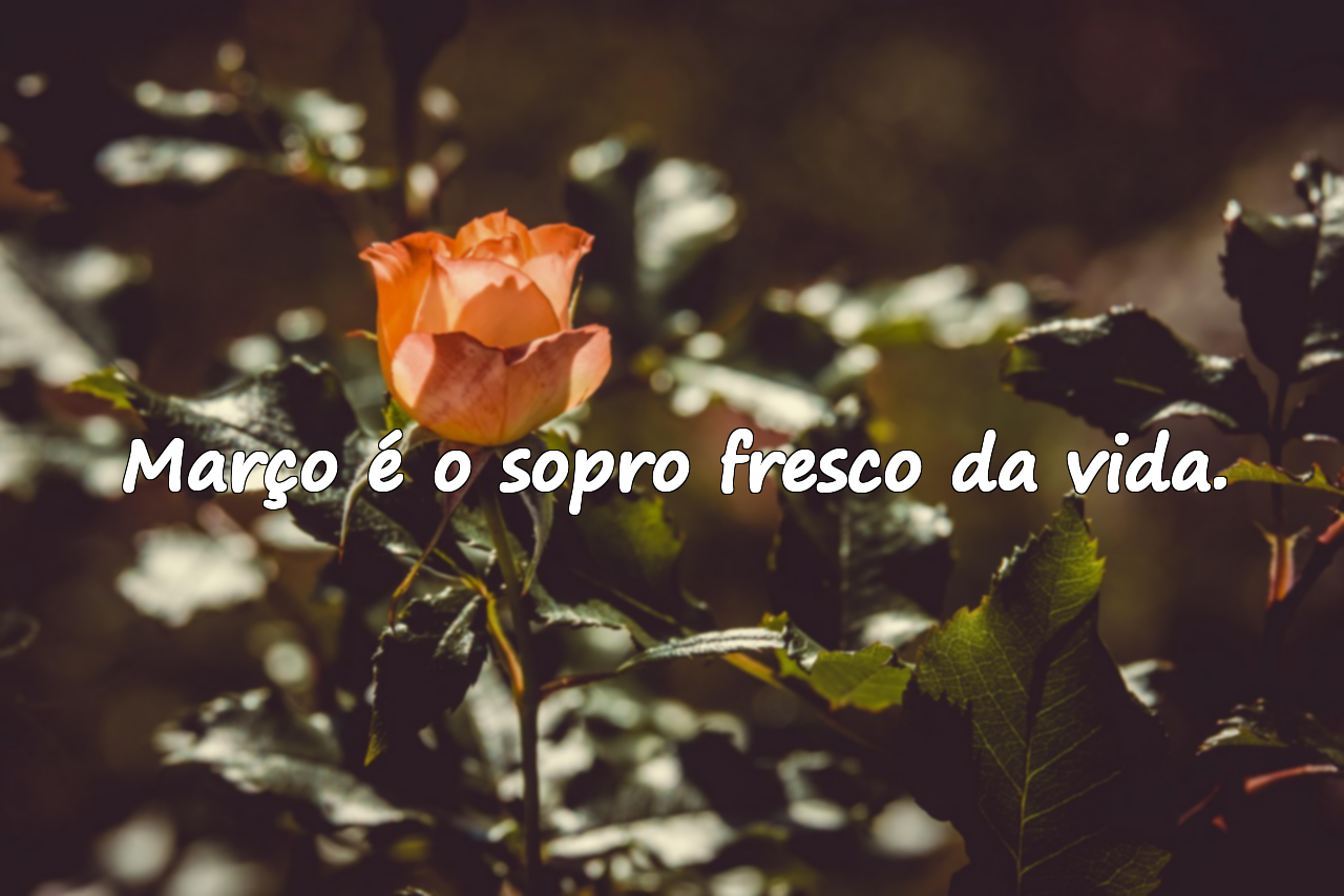 Citações Significativas Sobre Março