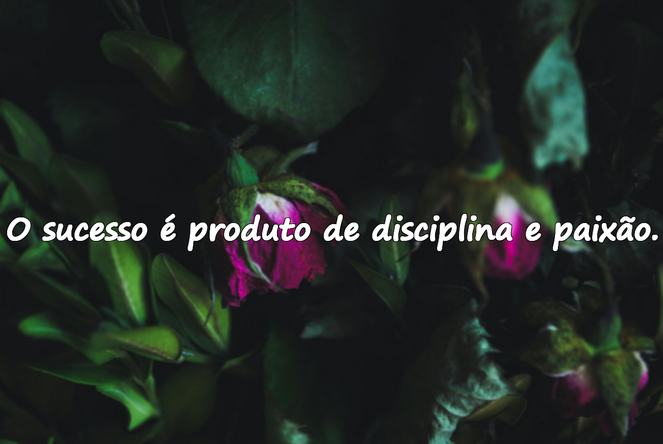 Citações de Desenvolvimento Pessoal