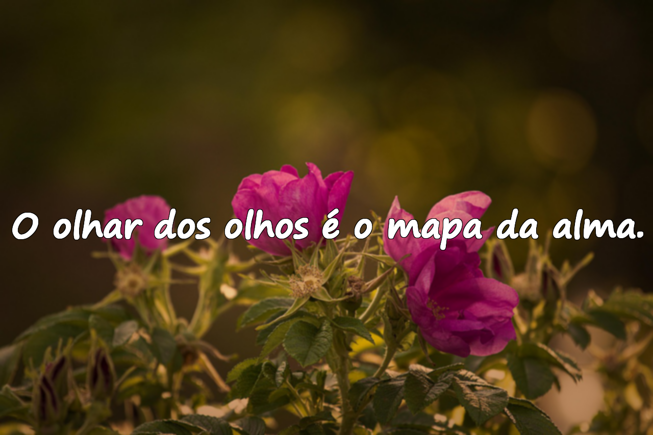 Citações significativas e bonitas sobre os olhos