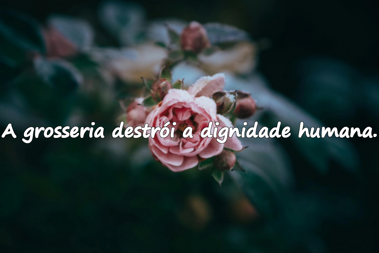 Citações sobre a grosseria
