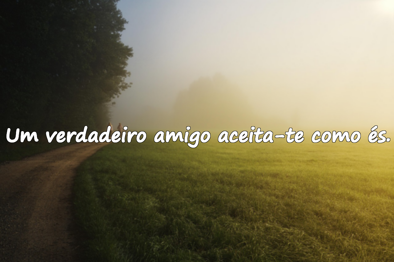 Citações sobre amizade