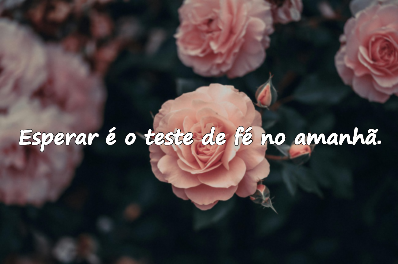 Citações sobre esperar