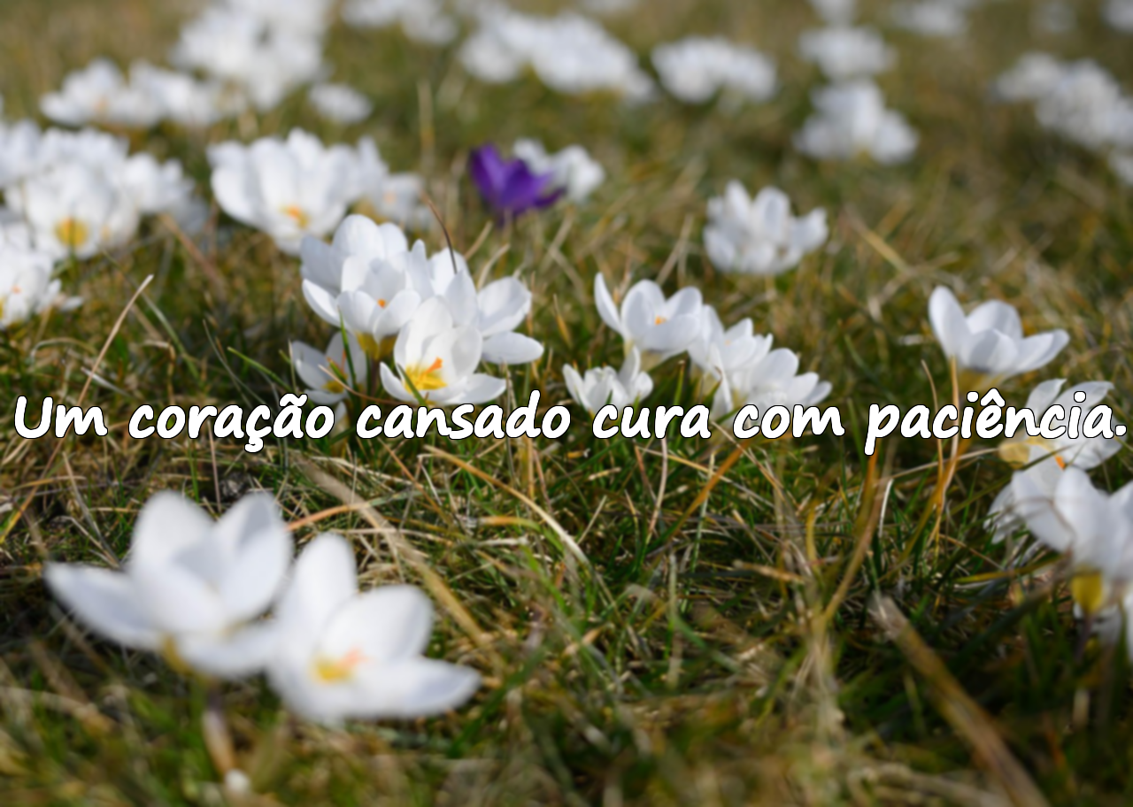Citações sobre o cansaço do coração