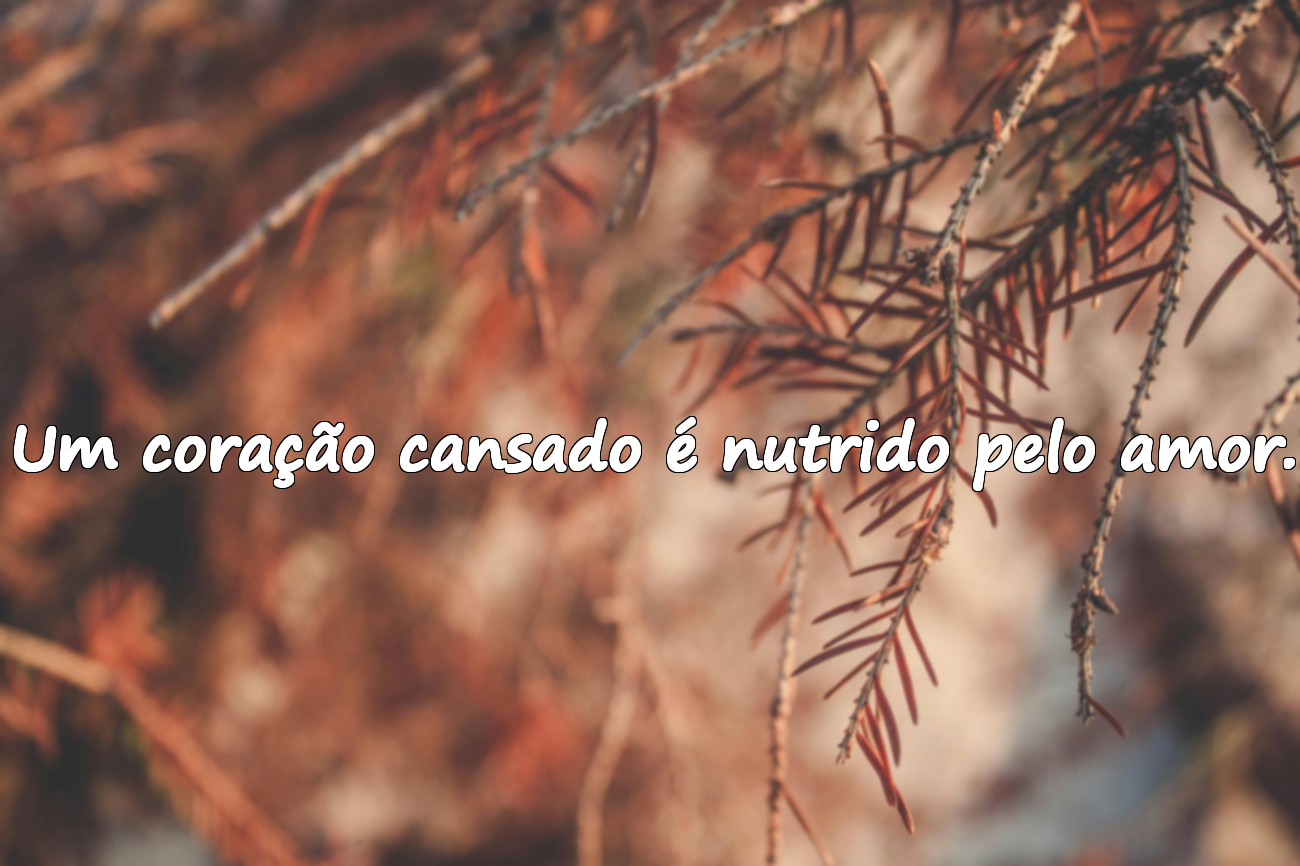 Citações sobre o cansaço do coração