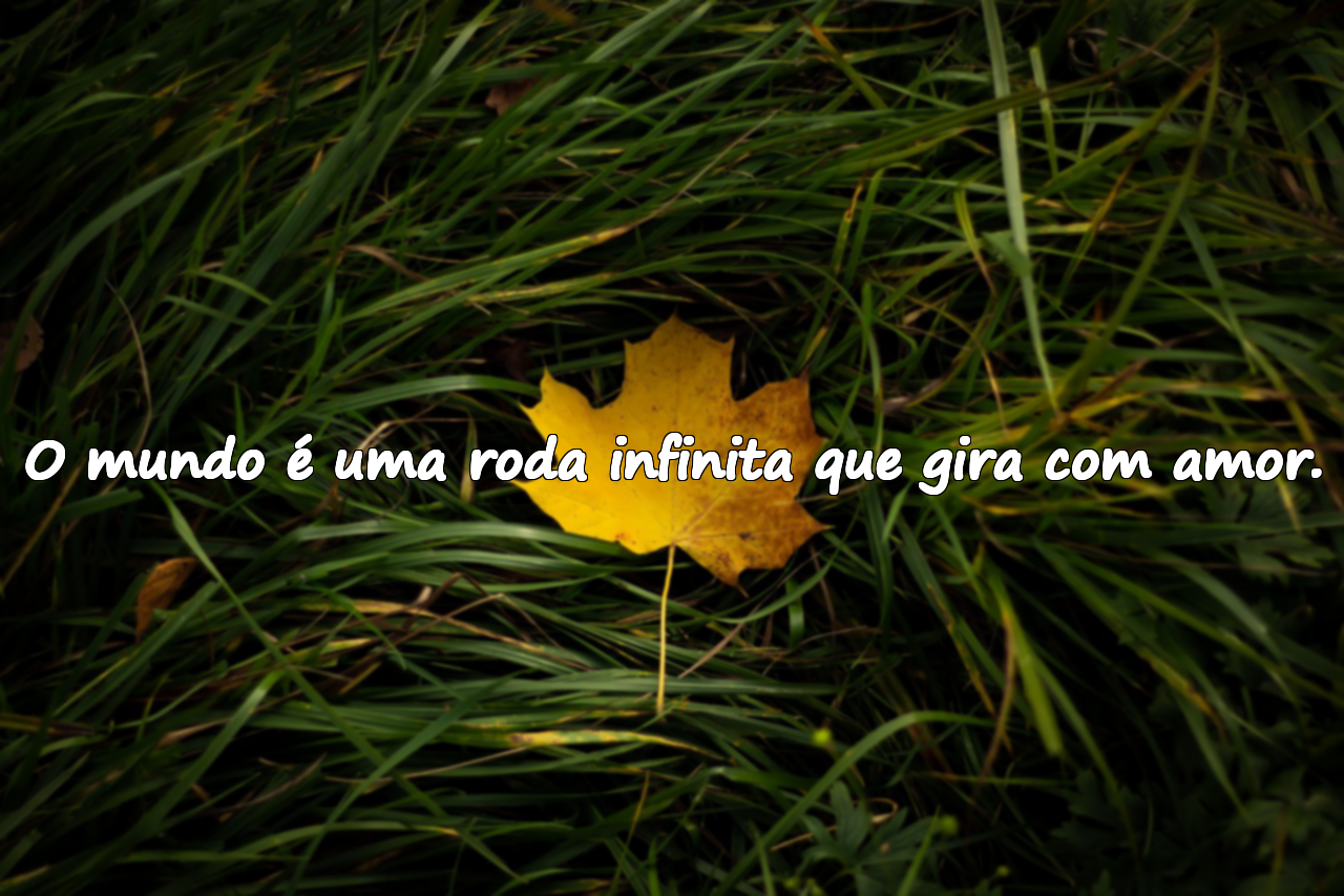 Citações sobre o mundo
