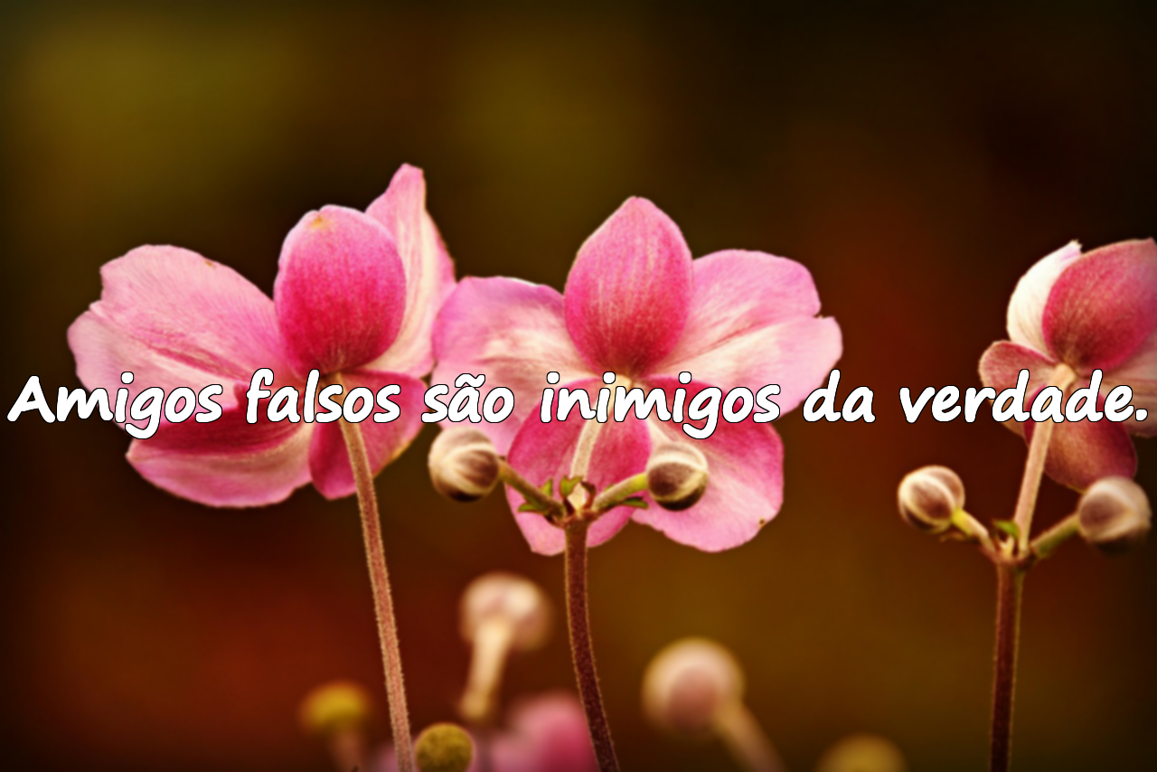 Citações sobre pessoas falsas