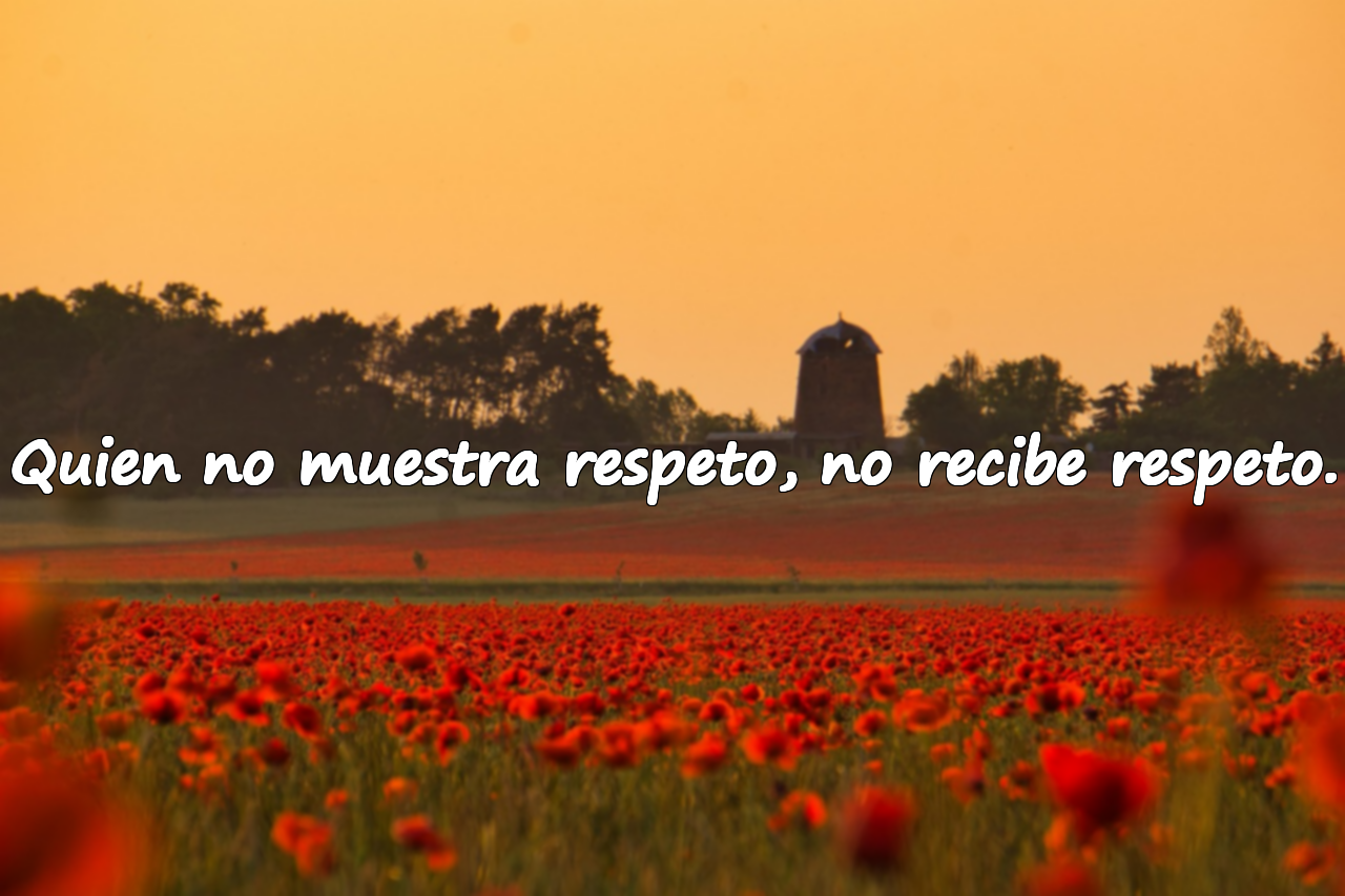 Citaciones sobre el respeto
