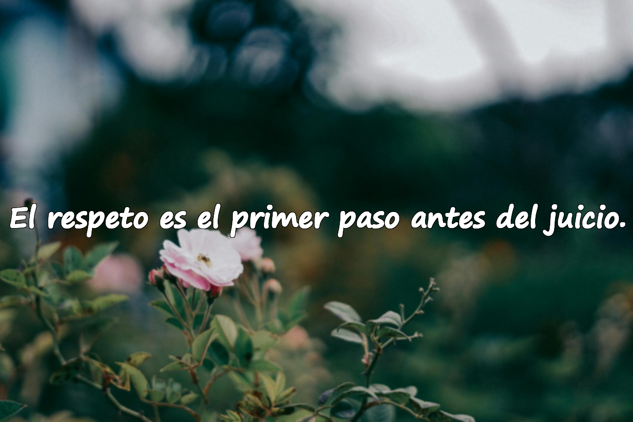 Citaciones sobre el respeto