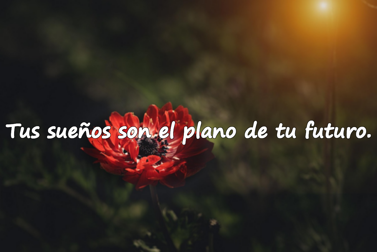 Tus sueños son el plano de tu futuro.