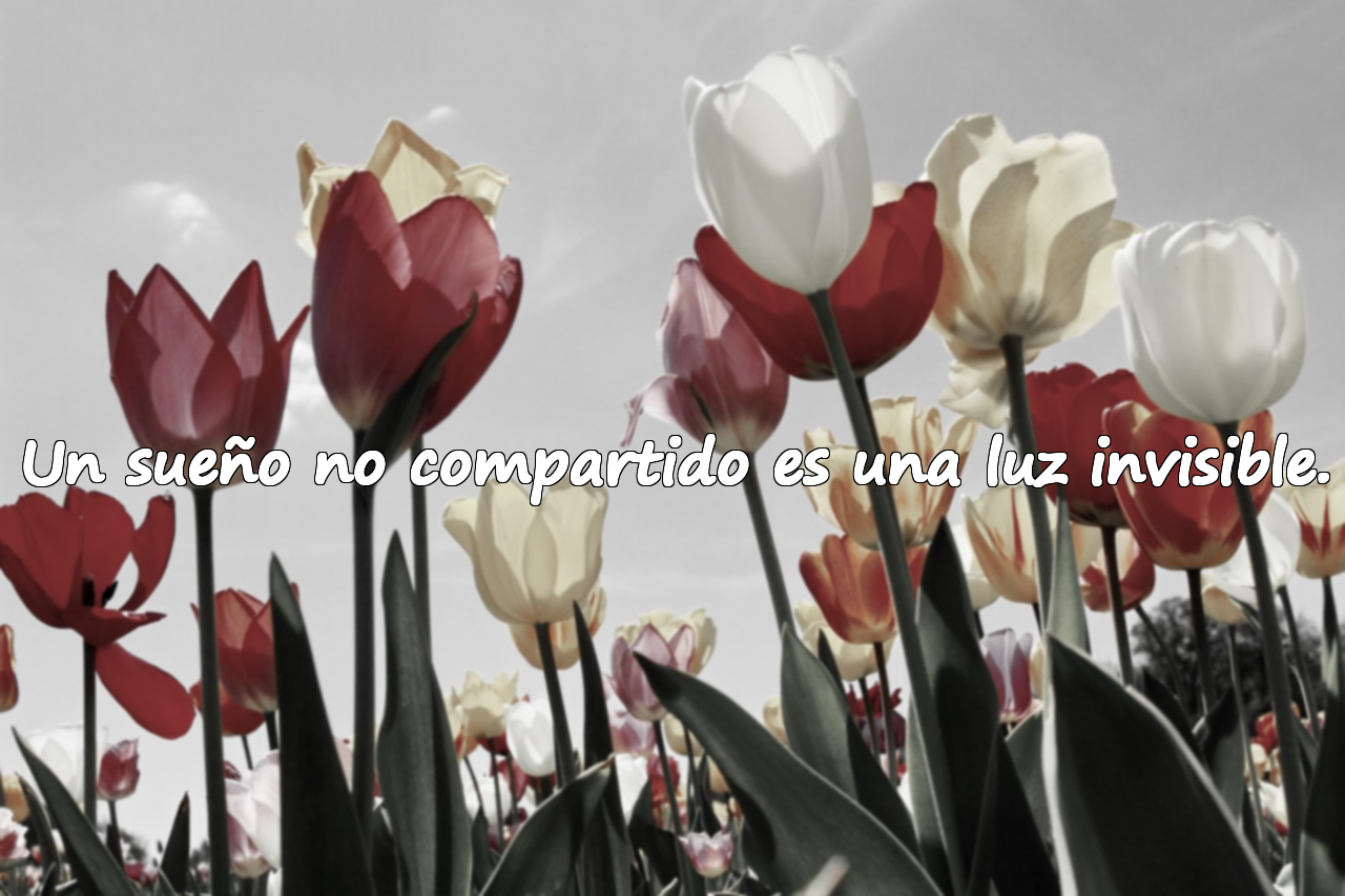 Un sueño no compartido es una luz invisible.