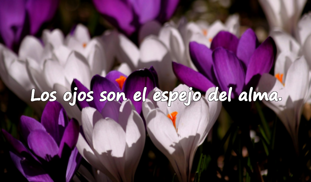 Los ojos son el espejo del alma.