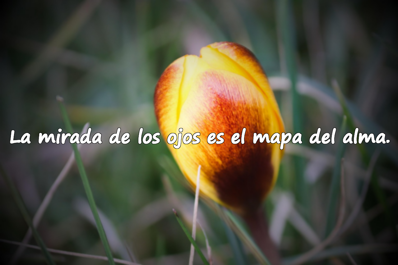 La mirada de los ojos es el mapa del alma.