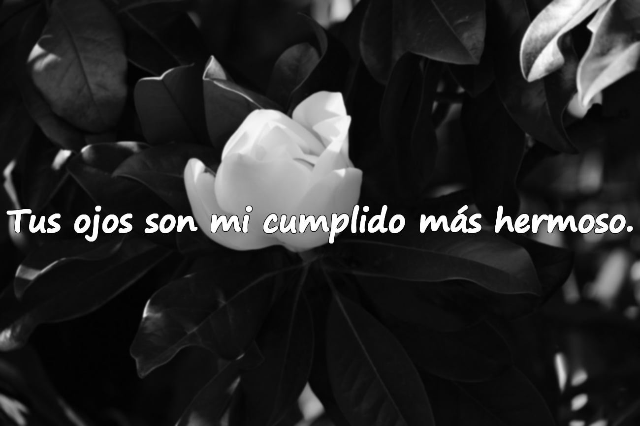 Tus ojos son mi cumplido más hermoso.
