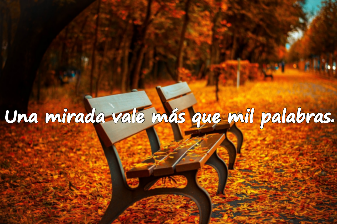 Una mirada vale más que mil palabras.