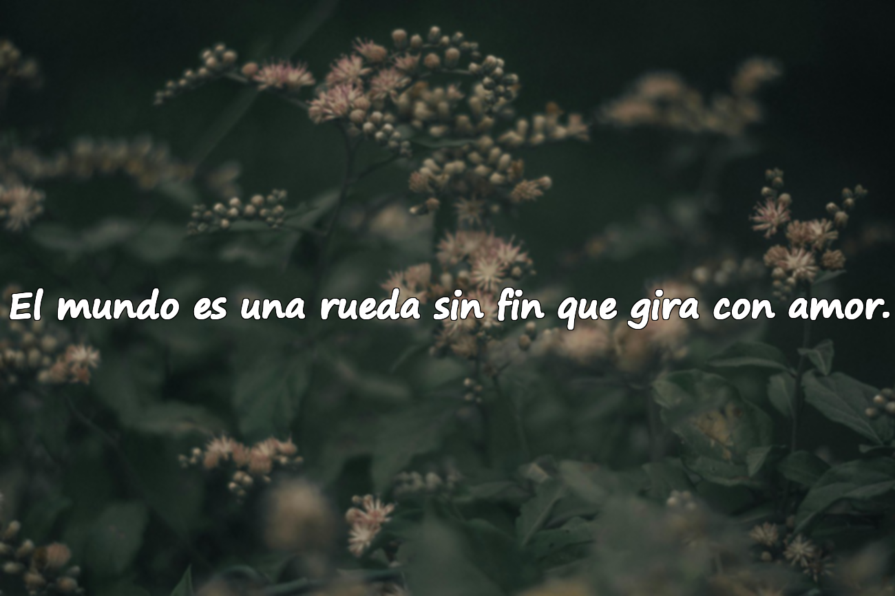 El mundo es una rueda sin fin que gira con amor.
