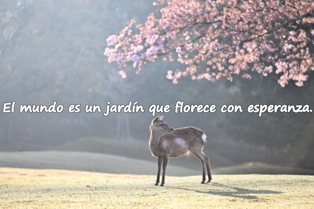 El mundo es un jardín que florece con esperanza.
