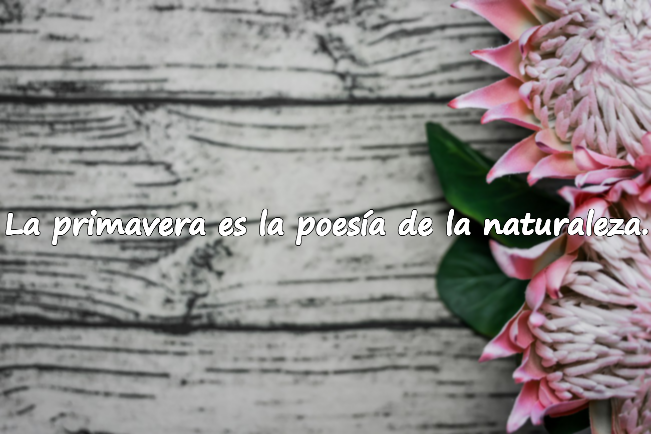 Citas sobre la Primavera