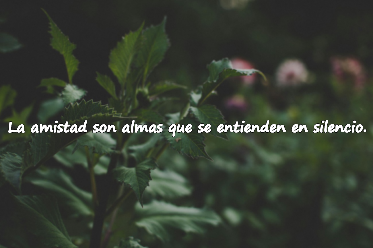 La amistad son almas que se entienden en silencio.