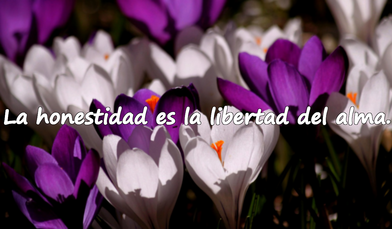 La honestidad es la libertad del alma.