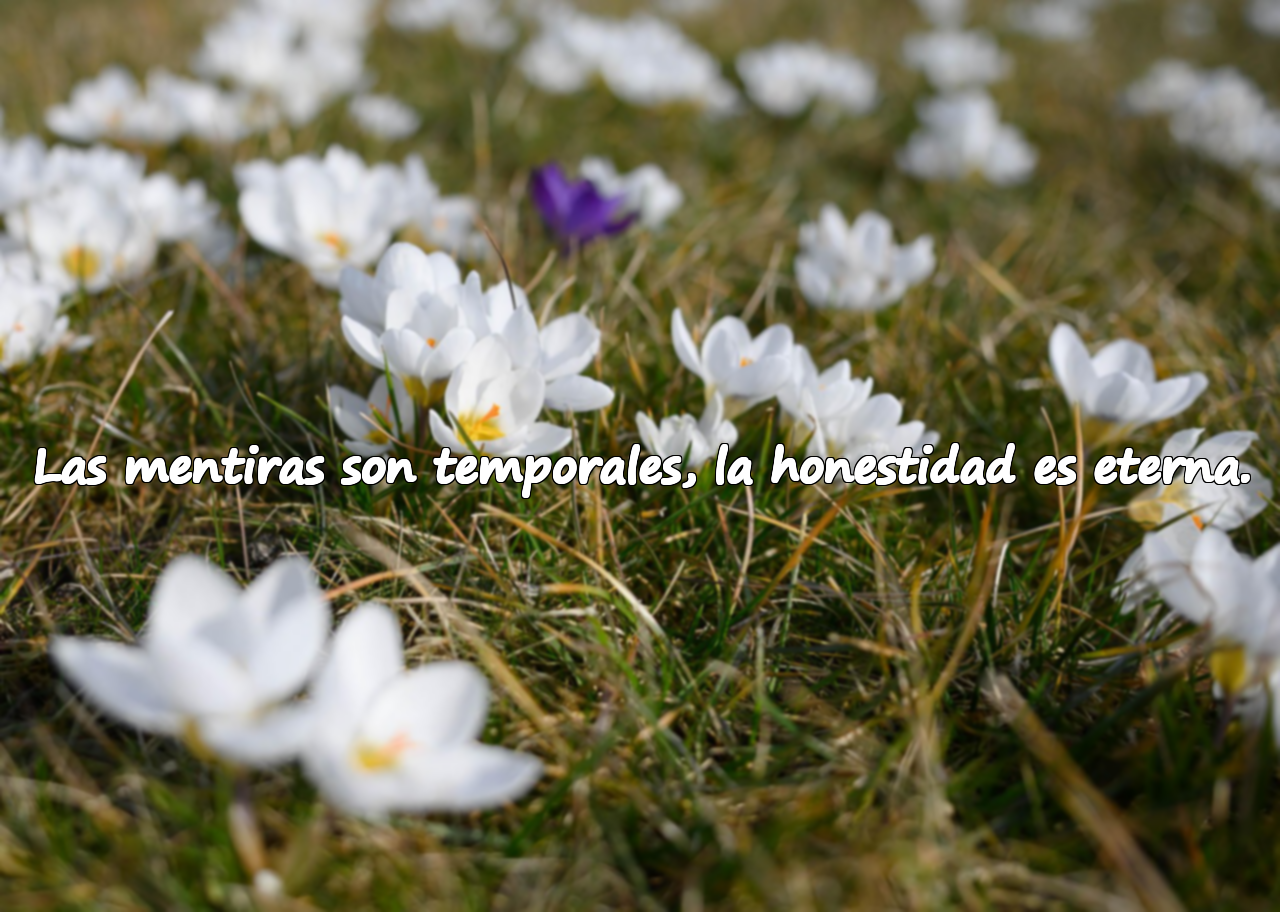 Las mentiras son temporales, la honestidad es eterna.