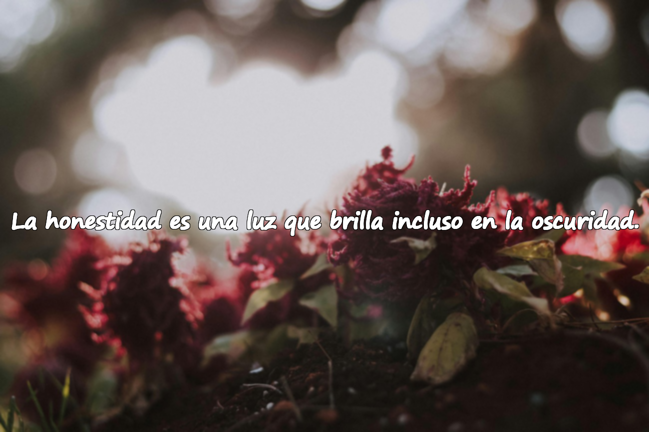 La honestidad es una luz que brilla incluso en la oscuridad.