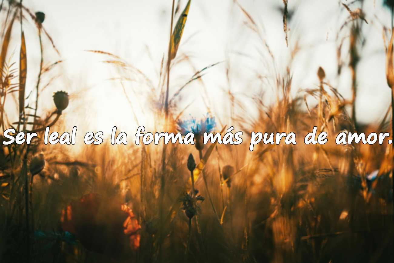 Citas sobre la lealtad