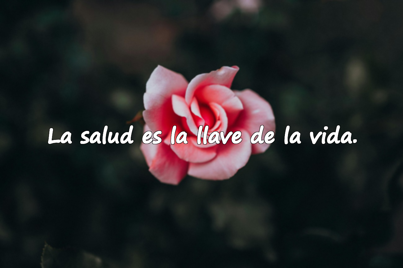 Citas sobre la salud