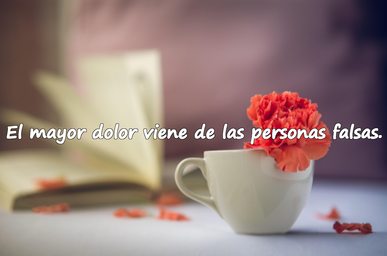 Citas sobre personas falsas