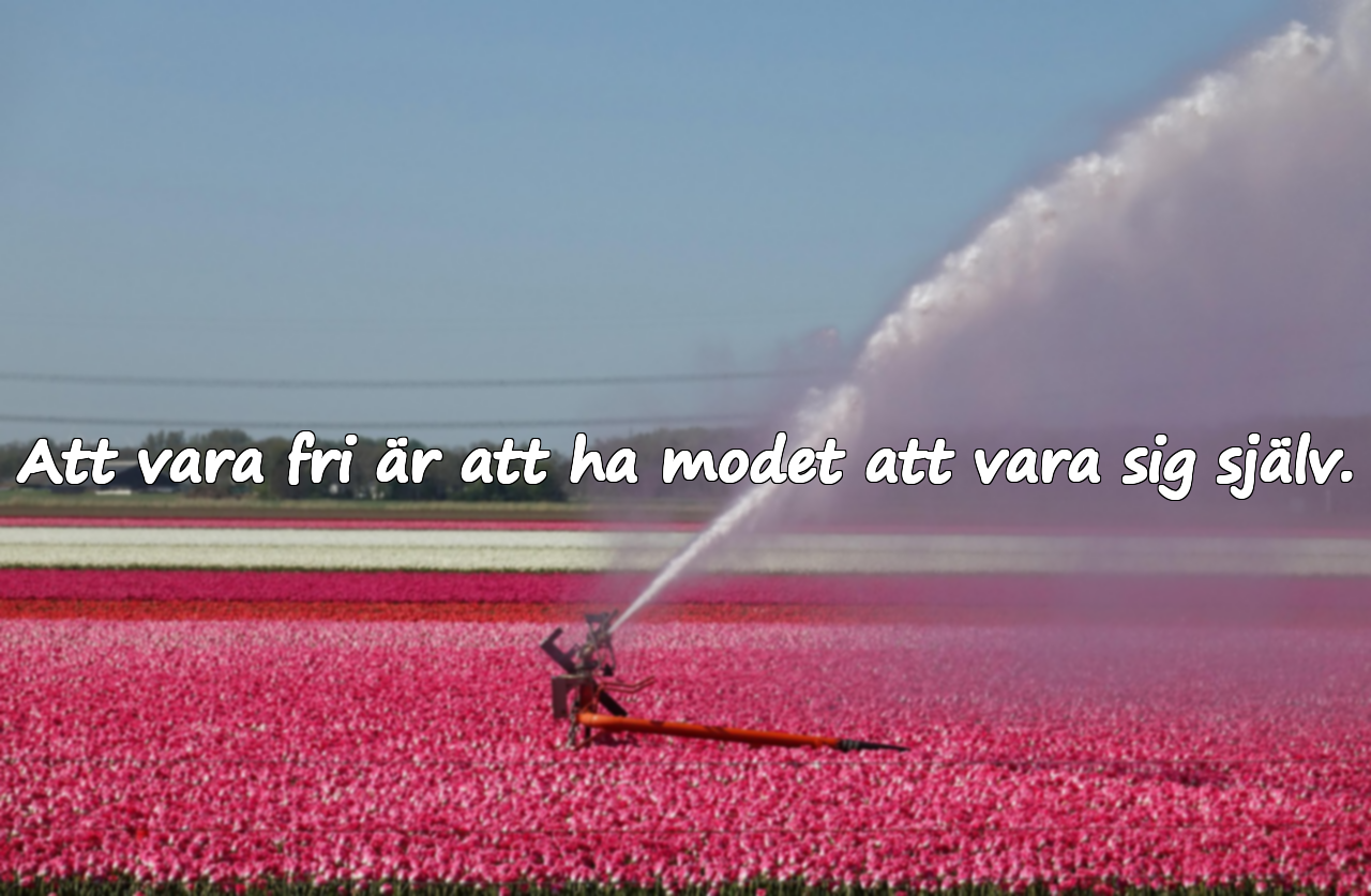 Citat Om Frihet