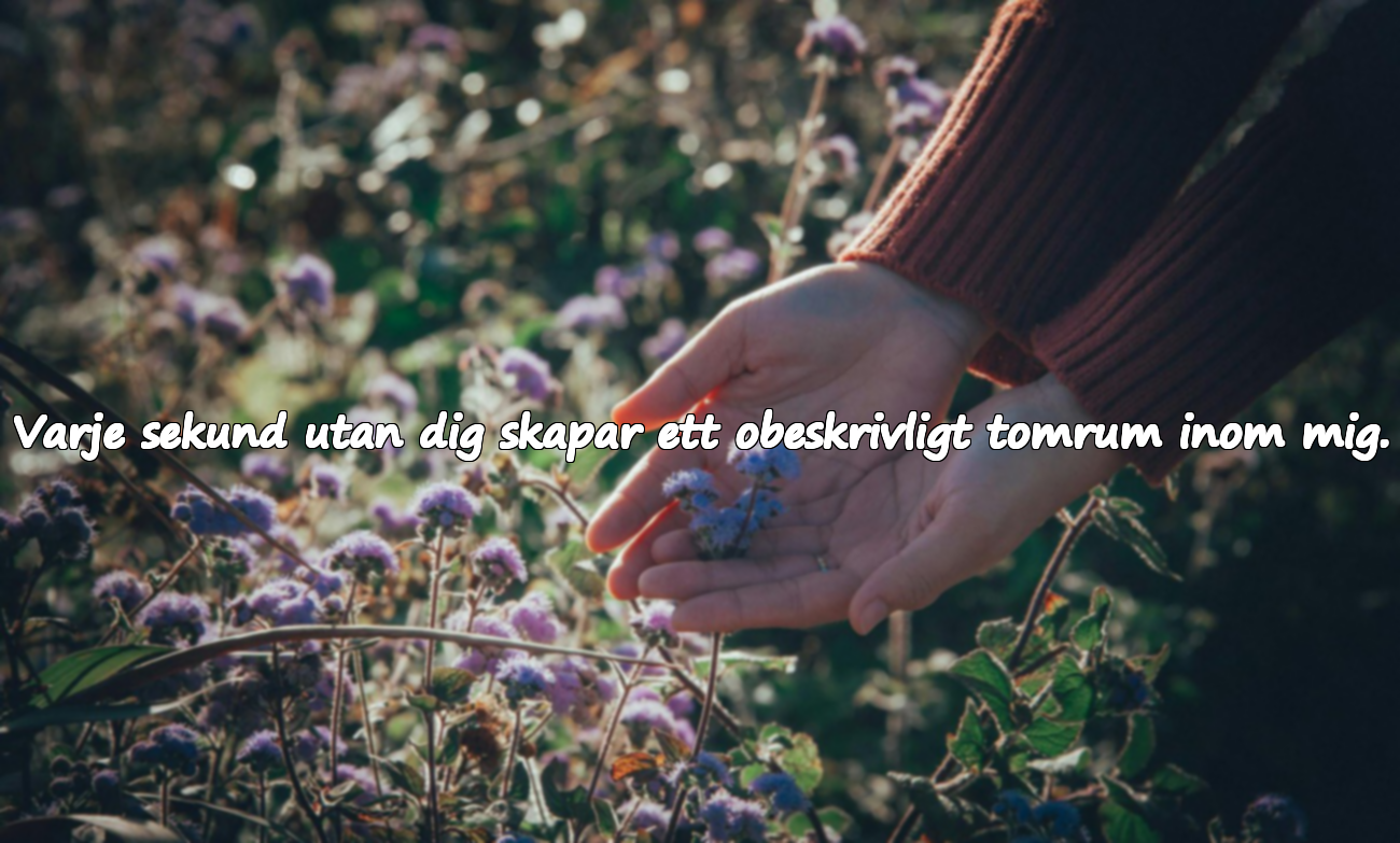 Citat för älskade